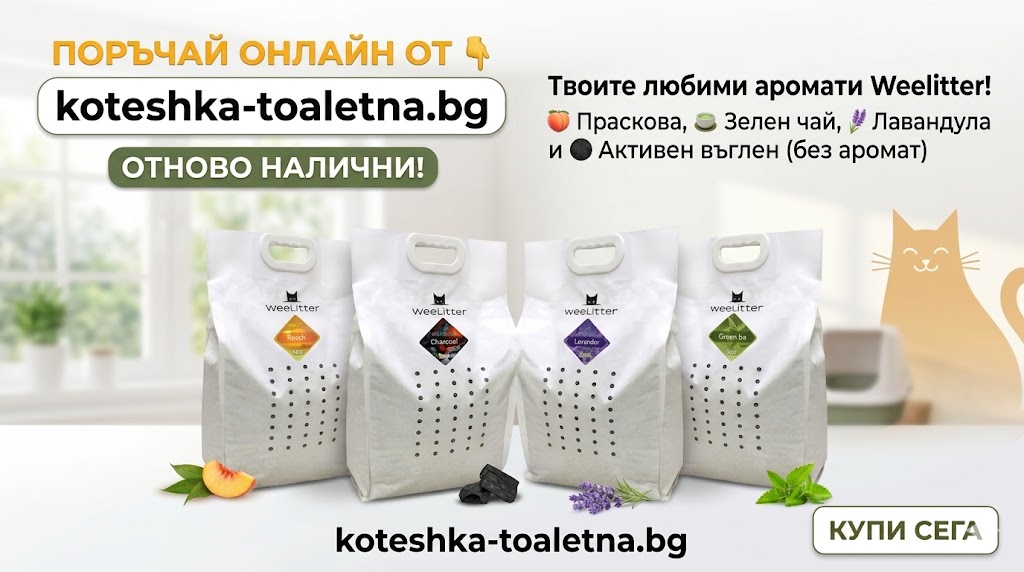 - 7f6ed531 99d1 4cae b5f2 32ec4ce7ffd1